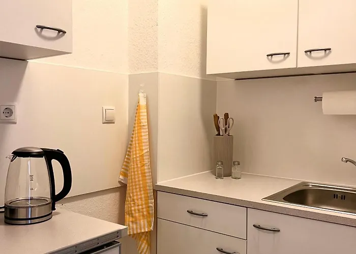 Moderne Studio-apartments In Wolfen *